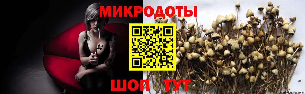 Краснотурьинск  Псилоцибиновые грибы GOLDEN TEACHER  продажа наркотиков  Вход с VPN 